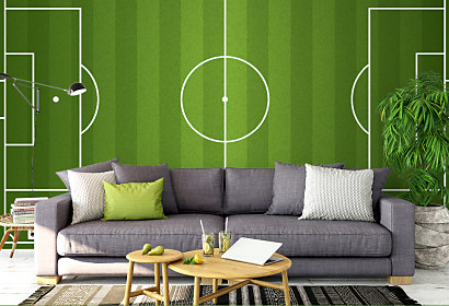 Fototapeta Football pitch 1007